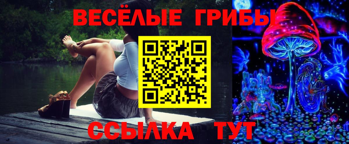 Каменка  Псилоцибиновые грибы GOLDEN TEACHER  Вход с VPN 
